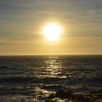 CambriaCN_0138 (November 05, 2016)